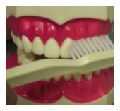 toothbrush in Katy